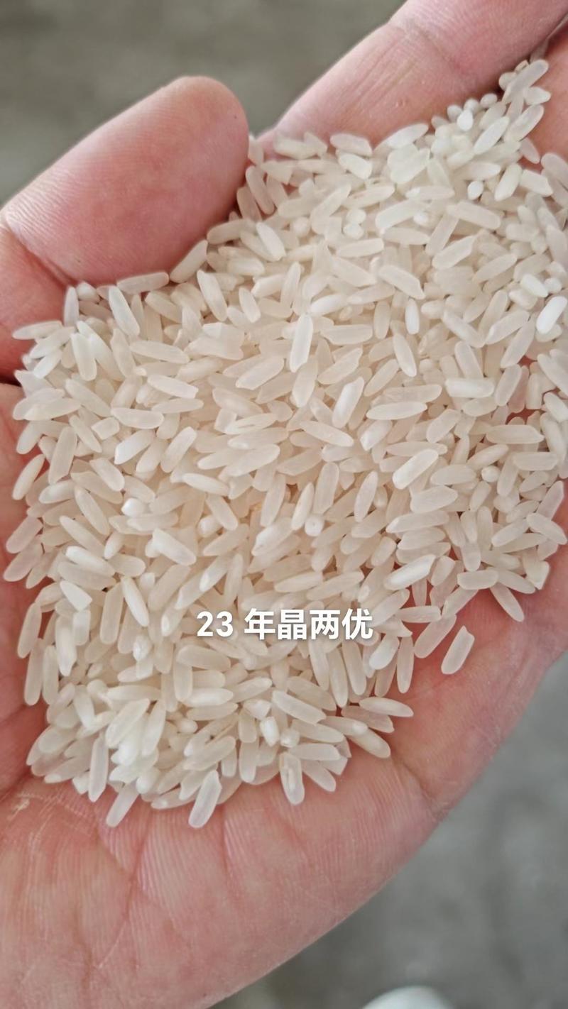 23年全新晶两优优质大米长粒香米大量供货欢迎采购