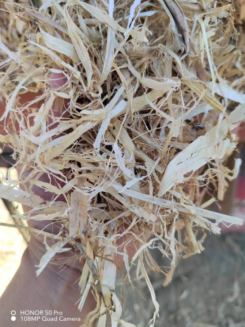 柔丝秸秆，过筛，除尘，无土，过风选机，颜色干净