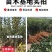 果园直发红富士苹果树苗众诚系列1-3号瑞雪包品种成活率