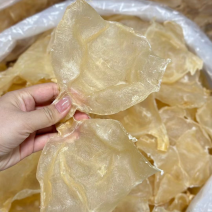 白花胶蝴蝶胶鱼胶蝶胶深海鱼胶奶冻干货不腥孕妇滋补品