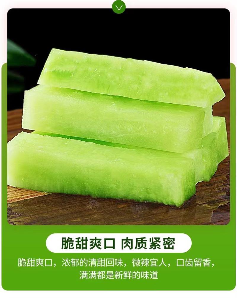 正宗潍坊水果萝卜一件代发中通包邮电商团购潍坊水果萝卜礼盒