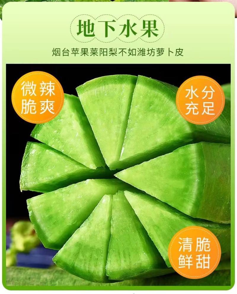 正宗潍坊水果萝卜一件代发中通包邮电商团购潍坊水果萝卜礼盒