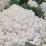 本地菜花精品松花菜有机花菜货源充足供全国电商超市