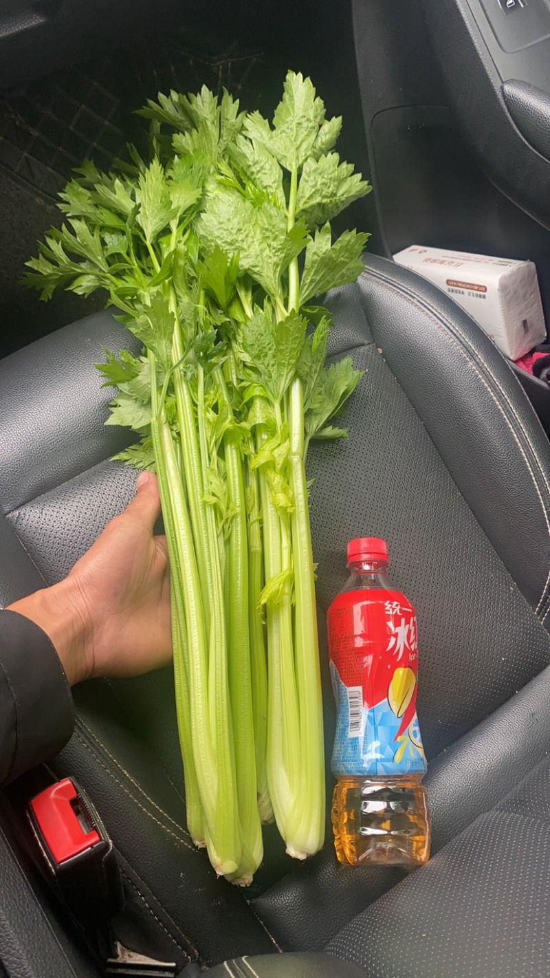河南芹菜西芹万亩蔬菜大棚基地规格齐全全天供应