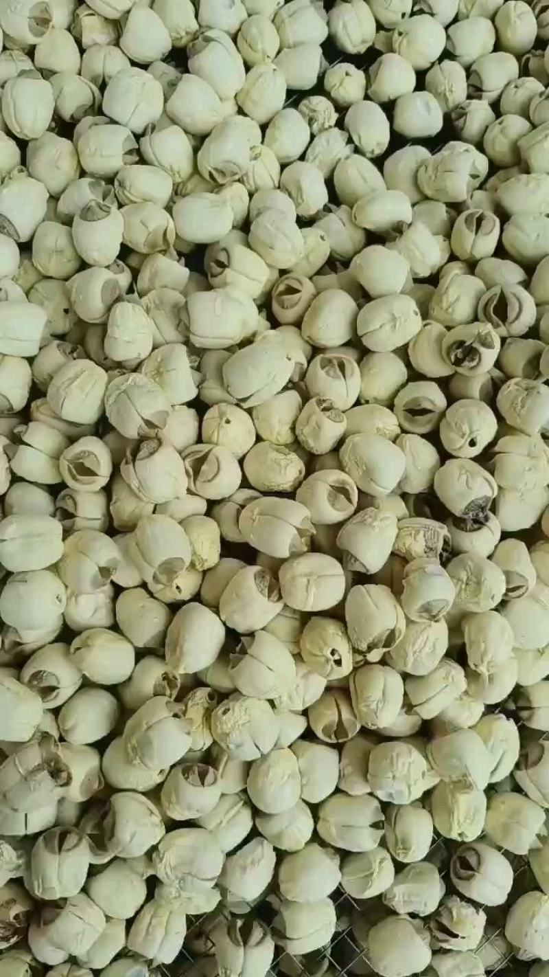 加工厂直销莲子