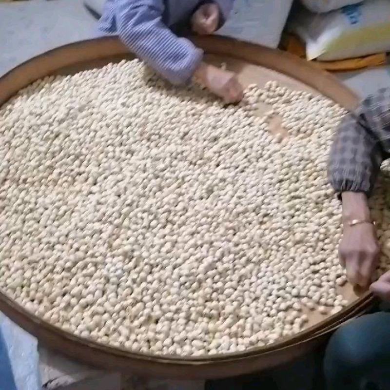 加工厂直销莲子