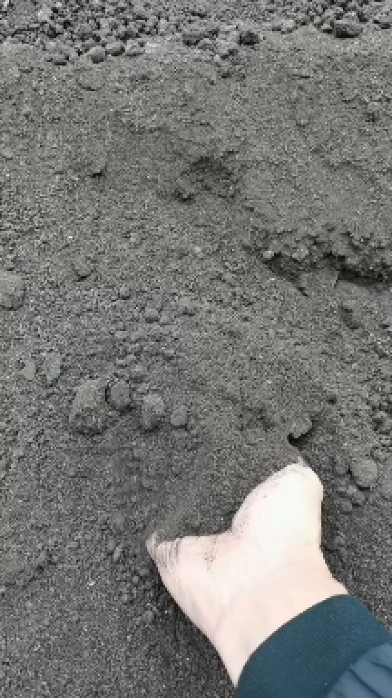 猪粪高温腐熟纯干有机肥，水份低过同行产品。