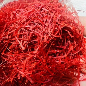 西藏伊朗藏红花头茬藏红花质量上乘量大优惠对接商超
