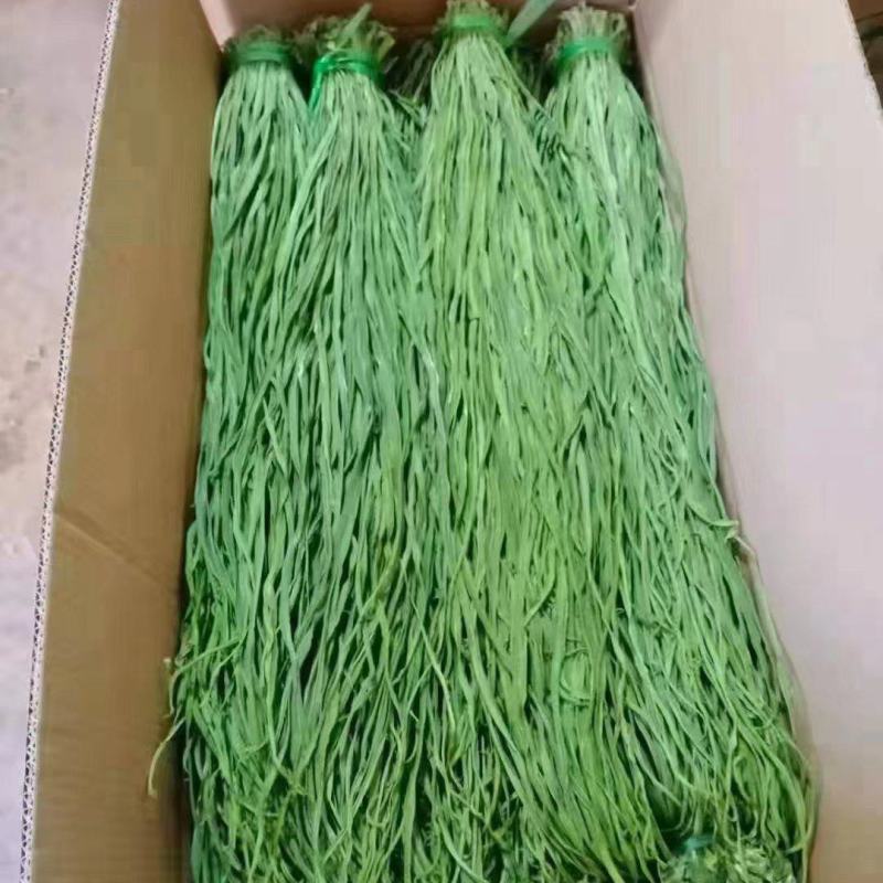 云南特产，精品贡菜干保质保量要放到保鲜时才可以