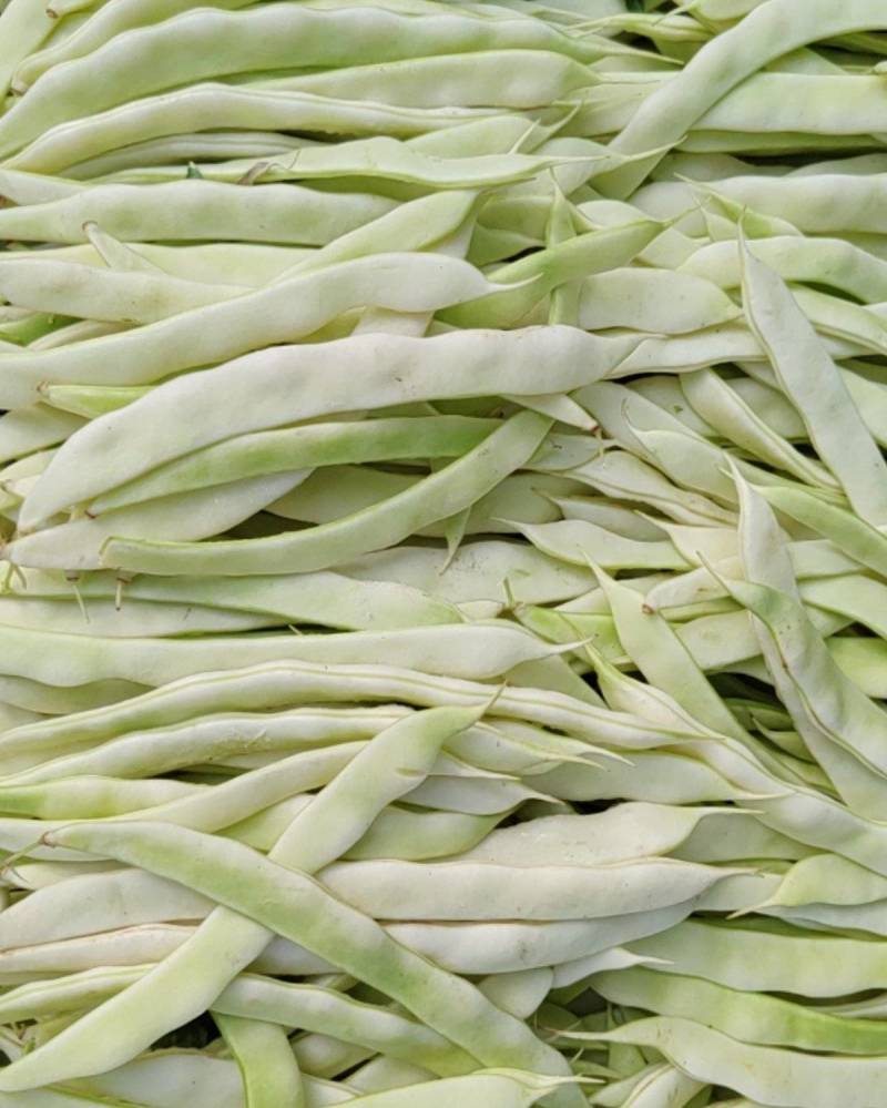 豆角