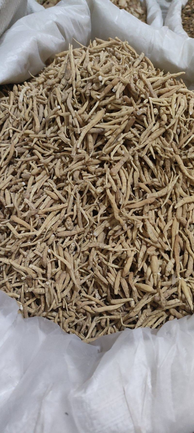 太子参标准好货质量保证价格优惠