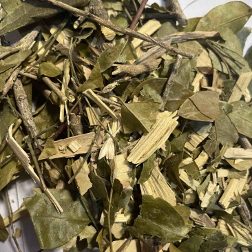 茵芋药材批发产地直售货源充足药材齐全