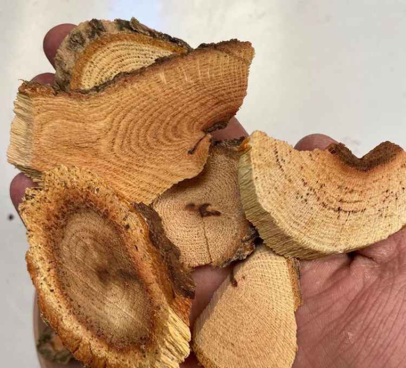 南蛇藤产地直售批发价格供应千种药材