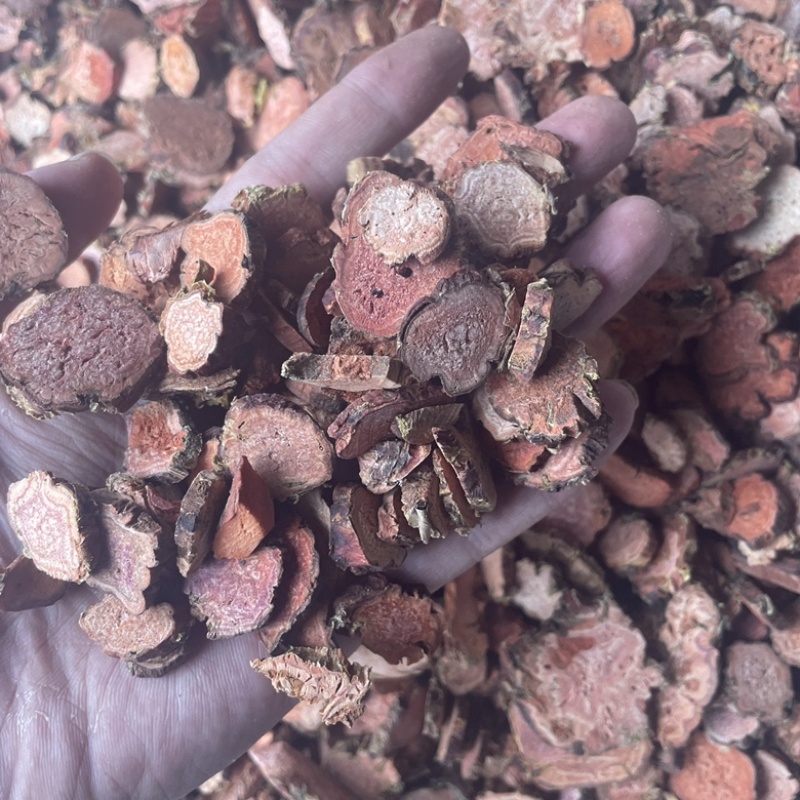 红景天中药材批发产地直售供应千种药材保真保量