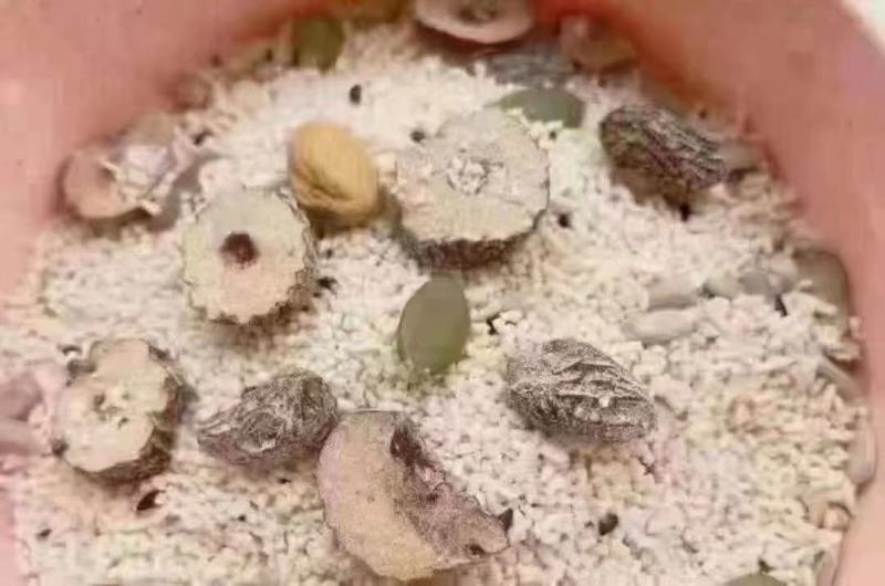 藕粉坚果藕粉玫瑰坚果藕粉银耳坚果厂家直营