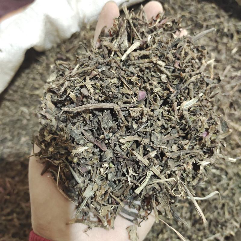马齿苋，马齿笕野生无硫新货，自然晾晒，产地货源，批发各种