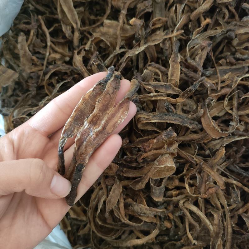 地龙小地龙半开祥泰药材栈中药材批发零售实物拍摄量多