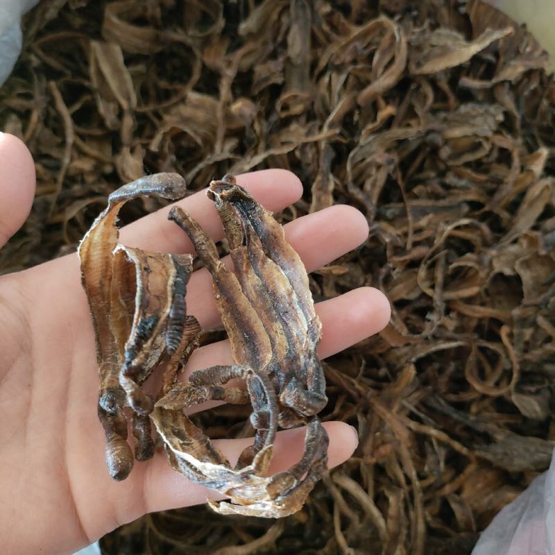 地龙小地龙半开祥泰药材栈中药材批发零售实物拍摄量多