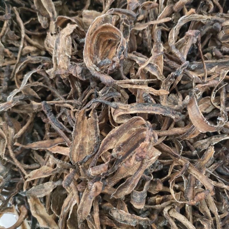地龙小地龙半开祥泰药材栈中药材批发零售实物拍摄量多