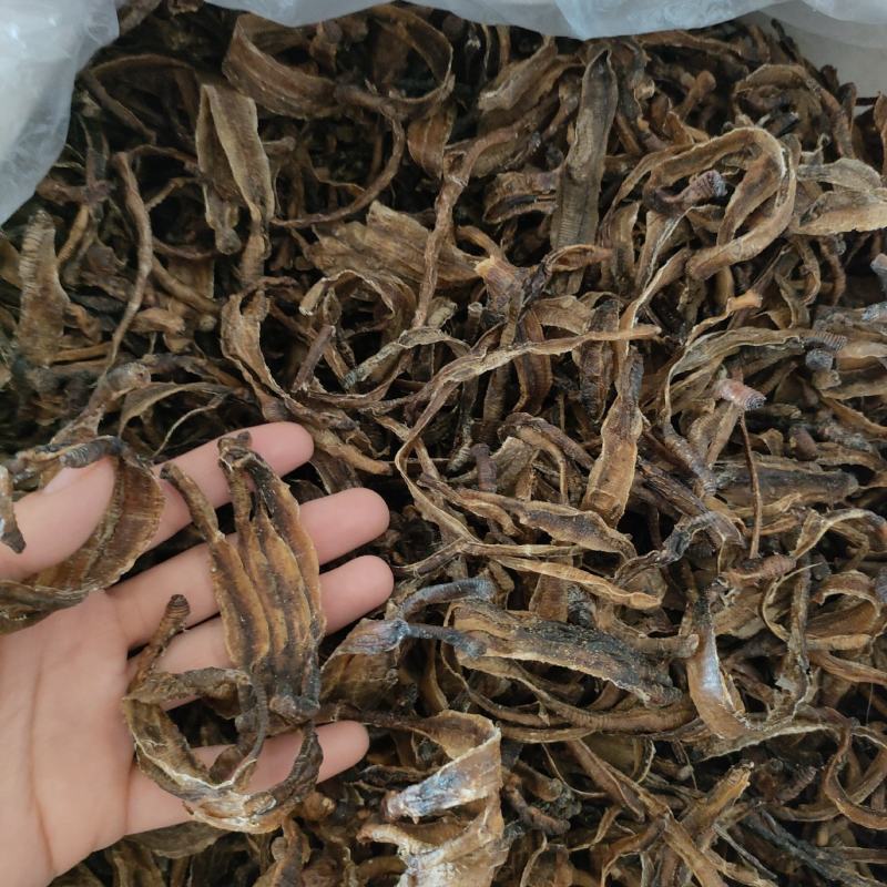 地龙小地龙半开祥泰药材栈中药材批发零售实物拍摄量多
