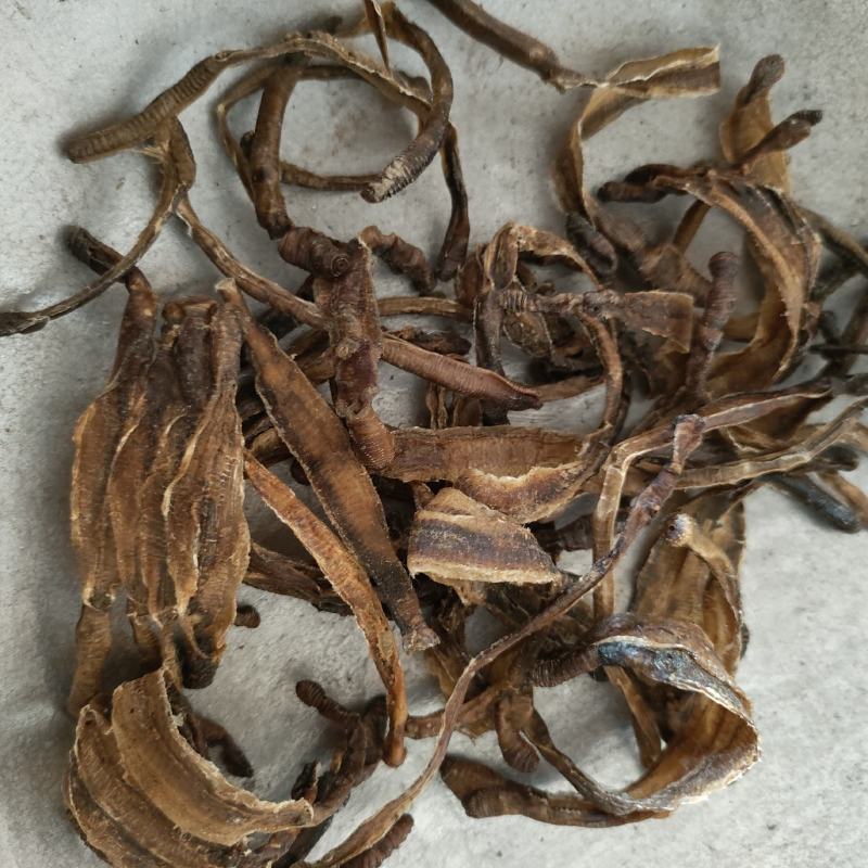 地龙小地龙半开祥泰药材栈中药材批发零售实物拍摄量多