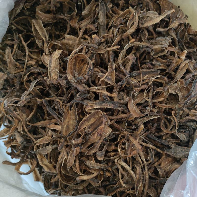 地龙小地龙半开祥泰药材栈中药材批发零售实物拍摄量多