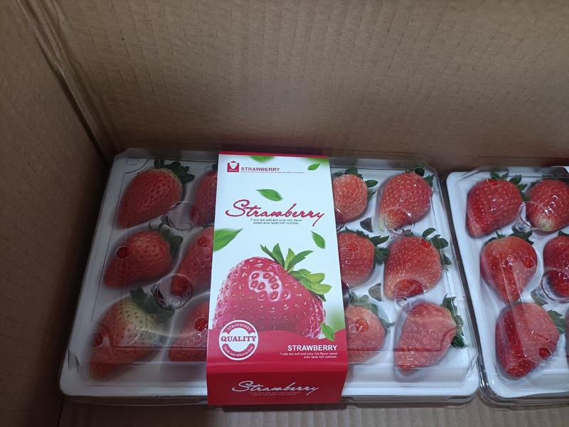 阜阳草莓货源充足量大从优欢迎老板前来选购可视频