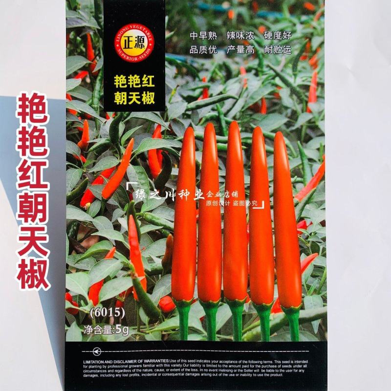 艳艳红朝天椒种子特辣辣味浓硬度好单生米椒艳红辣椒种子