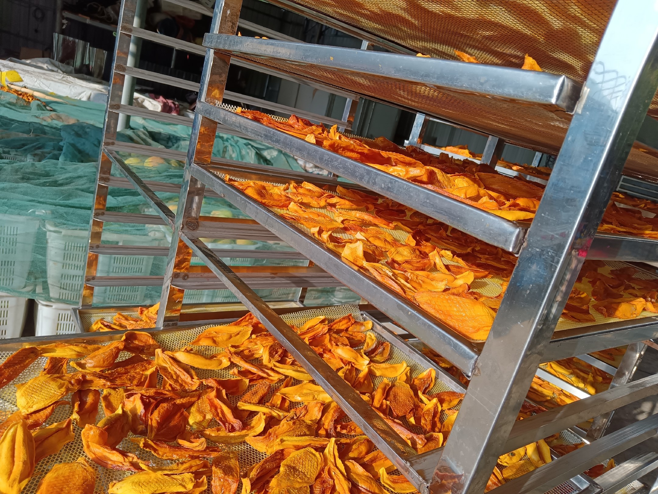 芒果保存小贴士信息图