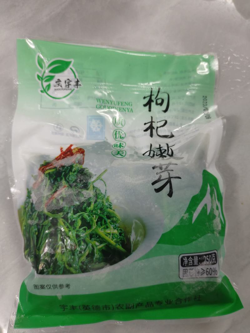 大量冻品枸杞芽出售