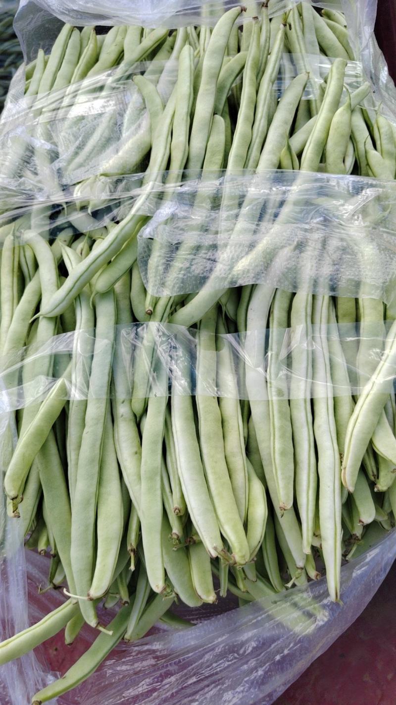 全国带收带发价格真实质量保证诚信为本小金豆无筋豆白豆偏豆