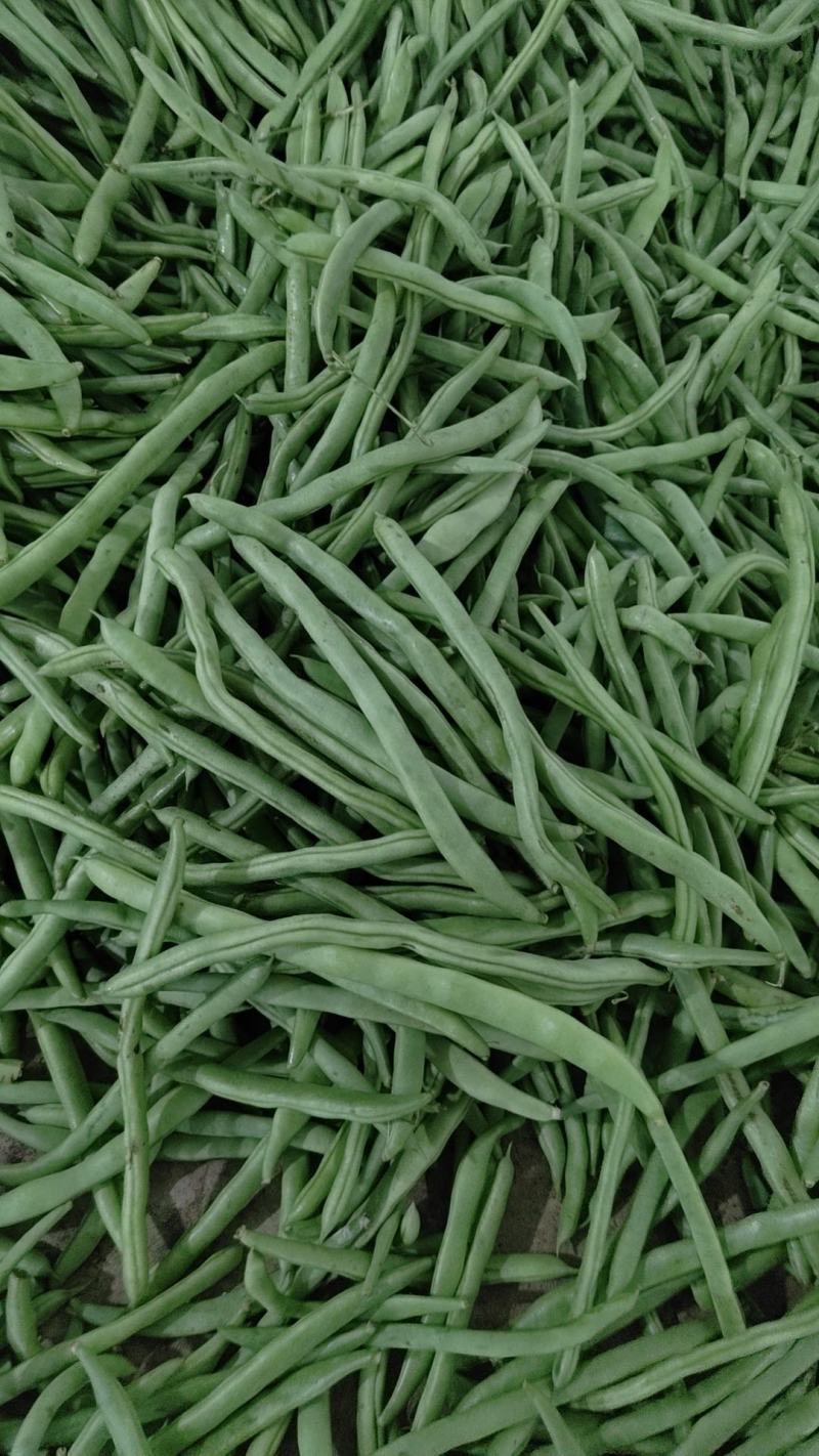 全国带收带发价格真实质量保证诚信为本小金豆无筋豆白豆偏豆