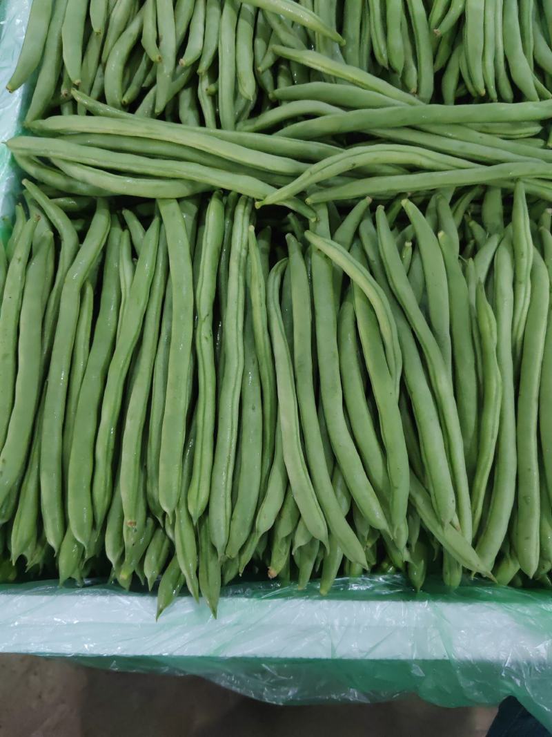 全国带收带发价格真实质量保证诚信为本小金豆无筋豆白豆偏豆