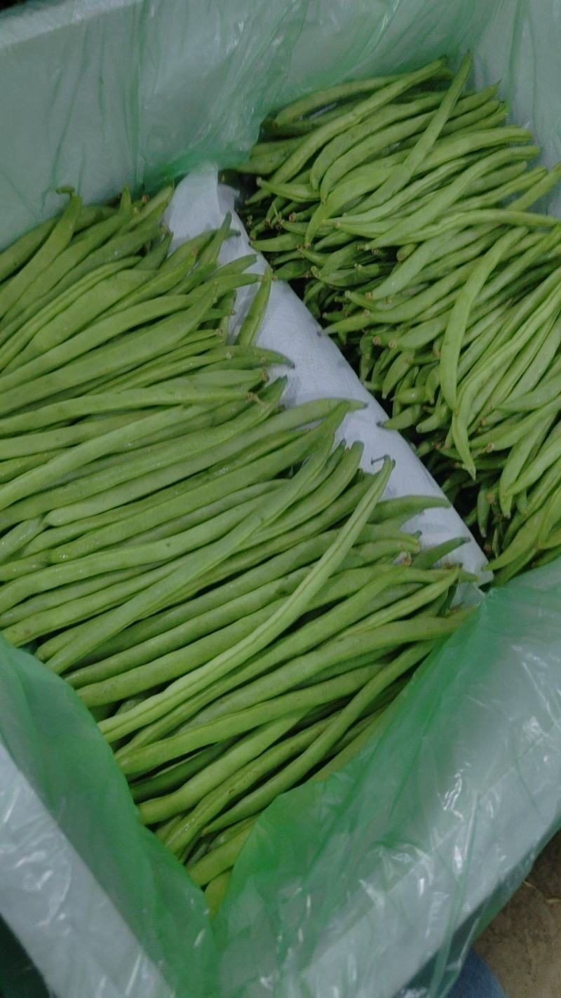 全国带收带发价格真实质量保证诚信为本小金豆无筋豆白豆偏豆