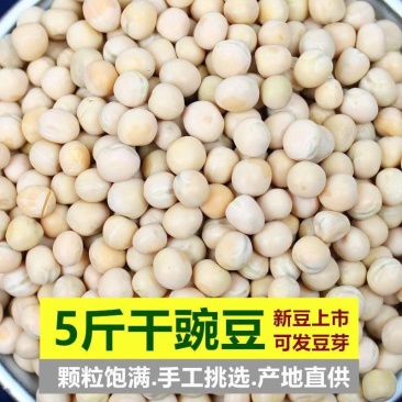 白豌豆新货农家自产干豌豆发豆芽煮粥重庆小面配料晒干豆类