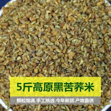黑苦荞米新货农家荞麦米苦荞麦全胚芽米黑苦荞颗粒五谷杂粮