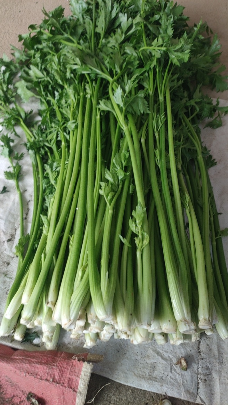 鲍芹，直接打电话，平台无法聊天