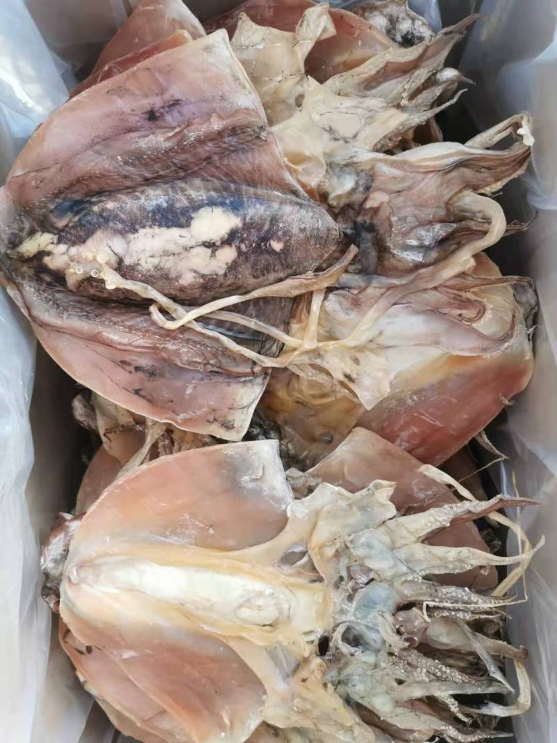 新货东海淡干咸小墨鱼干海产品目鱼干货乌贼干墨鱼500克