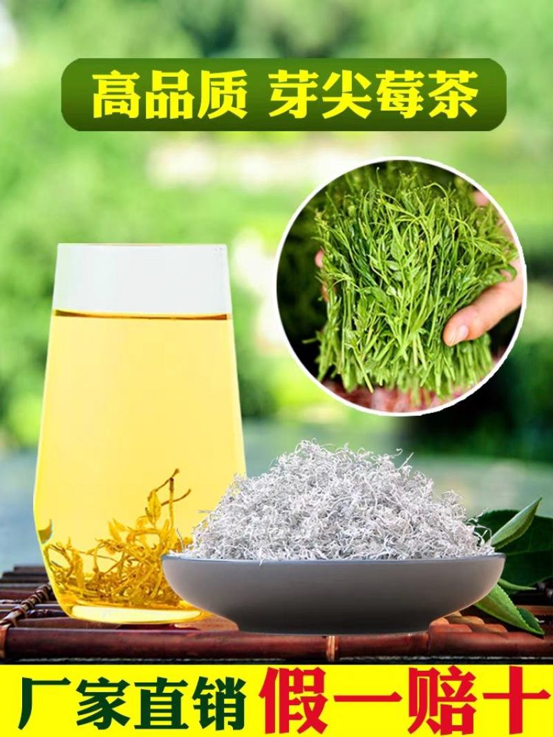 茶叶张家界野生苺茶