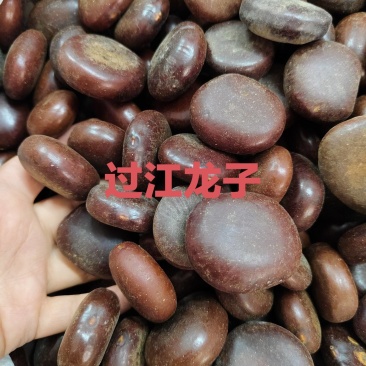 中药材过江龙子货源充足保证质量