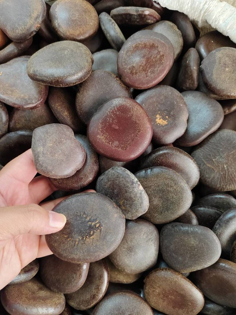 中药材过江龙子货源充足保证质量