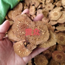 中药材贯众货源充足保证质量