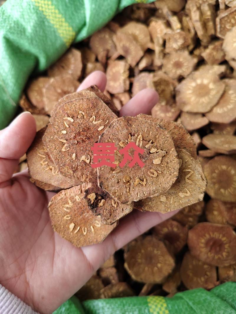 中药材贯众货源充足保证质量