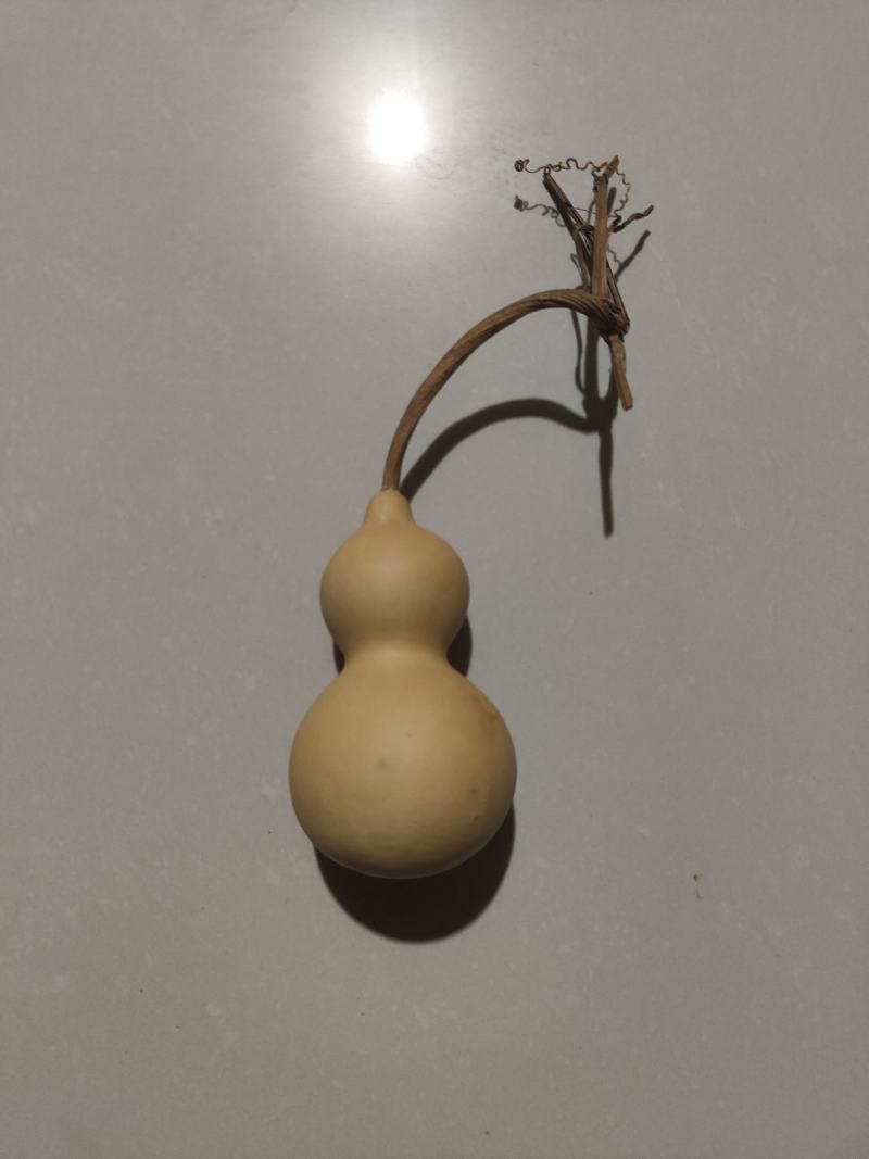葫芦