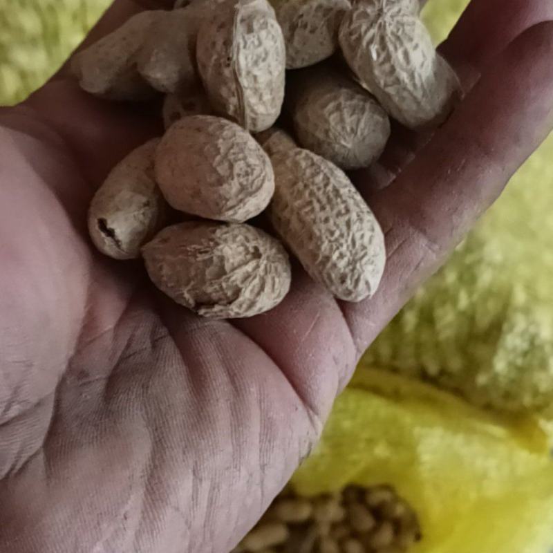 精选，通货干花生，罗汉果