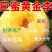 (保活)黄金李特大油奈李嫁接李子苗黄金奈李子树苗