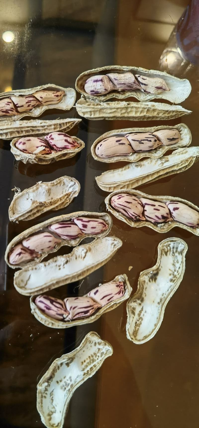 缅甸七彩水果花生