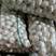 精品新干蒜白皮紫皮出口贸易市场批发全国发货保质保量