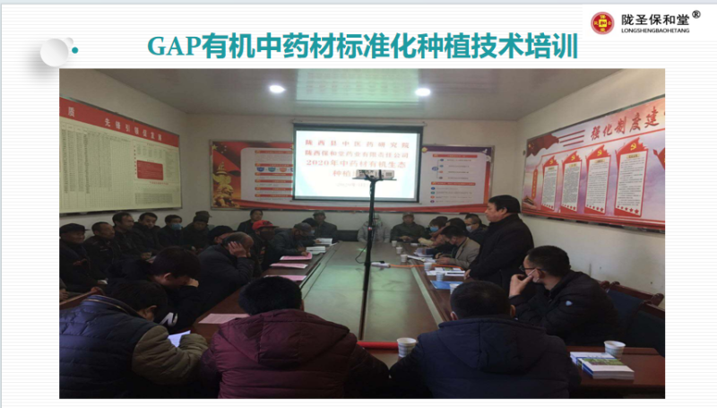 当归全归片，中药材批发一手货源量大从优品质保证
