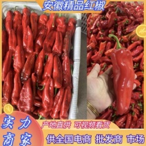 安徽辣椒芜湖红椒大量上市中量大从优对接全国电商超市酒店